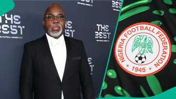 Amaju Pinnick responds after renowned journalist asks if he stole NFF funds