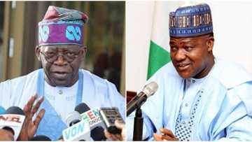 Tikitin Tinubu-Dogara a 2023 jita-jita ne kawai, babu gaskiya ciki - Shugaban jam'iyyar APC
