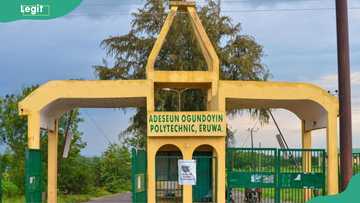 Adeseun Ogundoyin Polytechnic, Eruwa courses and admission requirements