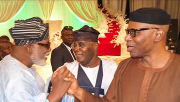 Akeredolu reacts to alleged plan to hand over predecessor Mimiko to EFCC