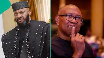 "Why Nigeria is blessed to have Peter Obi": Yul Edochie's past praise for politician resurfaces