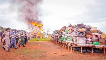 Gwamnan Arewa ya fusata yayin da hukumar NDLEA ta kone miyagun kwayoyi masu tarin yawa a jiharsa