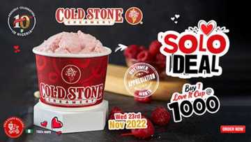 Indulge in Cold Stone’s Black Friday and Solo Deal this November