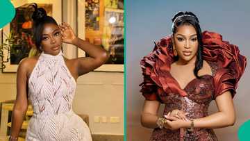 Sophia Momodu, Dabota Lawson engage in heated argument on Real Housewives of Lagos, fans pick side