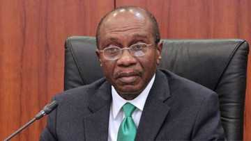 CBN moves to ban $1.2bn forex for milk, other dairy products