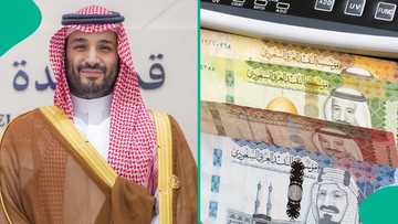 Saudi Arabia publishes salary scale for industrial and agricultural foreign workers