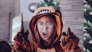 Top facts about Lilypichu, her personal life and career potential