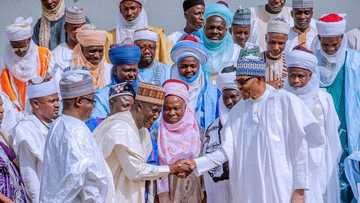 Sarakuna daga jihohin arewa uku sun ziyarci Buhari, sun nemi ya kirkiri jihar Borgu (Hoto)
