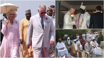 Yakin Jollof Rice: Yariman Ingila ya shiga tsakanin yakin cacar baka da ake yi tsakanin Ghana da Najeriya