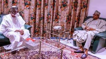 Yanzu Yanzu: Buhari ya karbi bakuncin Sanata Ahmad Lawan a fadar shugaban kasa