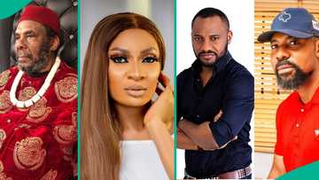 May Edochie's lawyer explains why Edochie family must address Yul's action to quell trolling