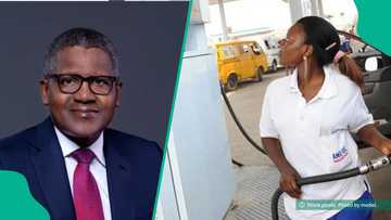 Nigeria missing on list of countries with highest fuel costs after Dangote crashed price