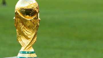 FIFA World Cup Qatar 2022 Team Facts: Will an African Team Win it? - By MSport