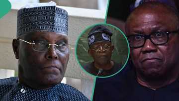 Supreme Court begins hearing Atiku, Peter Obi’s appeal against Tinubu's victory; Live Updates