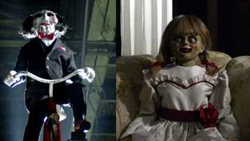 Company will pay over N534k to anybody who can watch 13 scariest movies, tells people how to apply