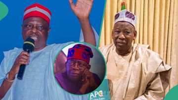 Kano: 'Why advocacy for one party system is an illusion', prominent PDP supporter speaks