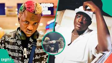 “I was cheated”: Portable reacts after losing boxing match to Carter Efe, announces birth of baby