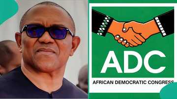 Step by step guide on how to deregister your membership from ADC after Peter Obi’s defection to NDC