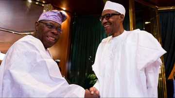 2023: An gano wanda Tsohon Shugaban kasa Obasanjo ya ke goyon baya ya gaji Buhari