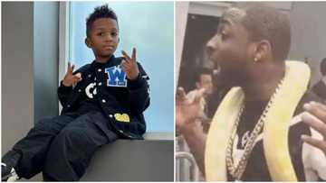 "Zion get mind pass am": Old video of Davido shaking while holding a reptile Wizkid's son played with surfaces