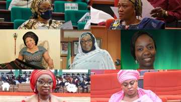 List: Meet 19 female lawmakers out of 469 members of ninth National Assembly