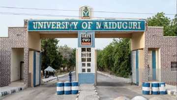 Yadda na ƙi yarda Boko Haram ta yi sanadin rufe UNIMAID, Farfesa Ibrahim