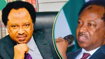 How Nigerian political leaders spend their 4 years in office, Shehu Sani reveals