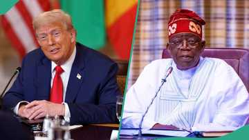 Visa restrictions: “Why Trump snubbed Tinubu, hosted 5 African leaders,” minister speaks, video trends