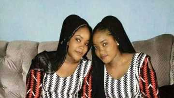 Dalla-dalla: Yadda aka fanso tagwayen Zamfara