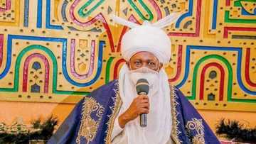 Masarautar Kano Ta Dakatad Da Wani Basarake Saboda Zargi