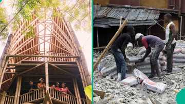 FG plans to build bamboo houses for Nigerians as traders quote new price for Dangote, BUA, cement