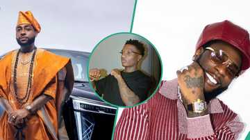 Davido dethrones Wizkid, Burna, emerges most followed singer in Africa on IG: "Ronaldo of music"