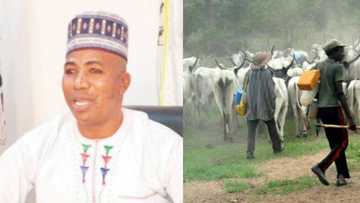 Stay where you are and defend yourselves against ethnic militia attack - Miyetti Allah tells herdsmen