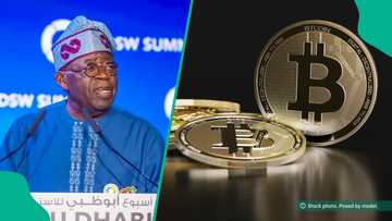 'Ku mallaki Bitcoin': An fadawa Tinubu hanyar bunkasa tattalin arzikin Najeriya