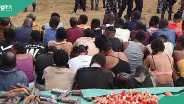 88 arrested, 4 killed as police raid kidnappers' hideout, rescue abducted victims