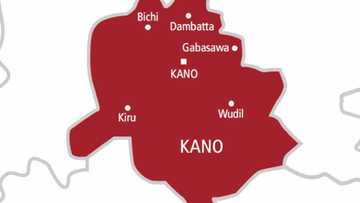 Kano: An kama matasan da ke dillancin hotunan tsiraici da bidiyon lalata da 'yammata