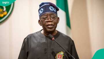 India, many other countries likely to reject Tinubu’s newly nominated ambassadors, reason emerges