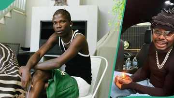 Online frenzy as Seyi Vibez reportedly features on Asake's album: "Everyone is happy now"