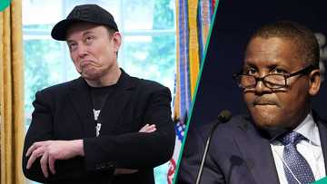 Elon Musk set to become world’s first trillionaire, Dangote's wealth rises