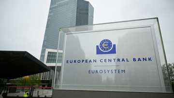 ECB expected to cut rates again as Trump trade war rumbles on