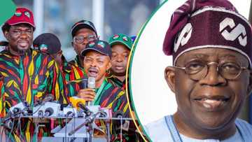 Organised labour reacts to Tinubu's claims of new minimum wage agreement