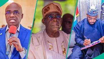 Abu ya girma: Jihohin Arewa da aka taso Tinubu a gaba ya sanya dokar ta baci