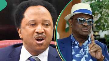 "I know his formula": Shehu Sani drops cryptic warning for Wike