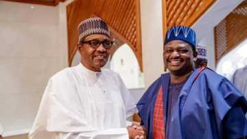 Gwamnoni suna fake wa da Buhari domin ɓoye rashin ƙwazon su, Femi Adesina