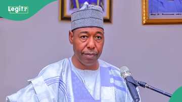 Ana jimamin ambaliyar ruwa, Gwamna Zulum ya gargadi sarakunan Borno