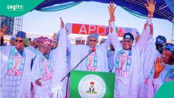 Ana tunkarar zaben 2027, an ji matsalar da APC ke fuskanta bayan mutuwar Buhari