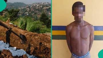 An kama mai cire sassan jikin mutum a makabarta domin tsafin yin kudi