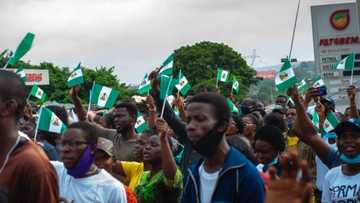 2023: 'Yan Najeriya mazauna kasashen waje sun fadi wanda suke so ya gaji Buhari a zaben badi