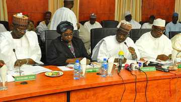 Northern Governors Forum reacts as 20 more people die in southern Kaduna fresh attacks