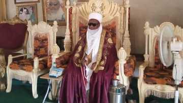 Sarkin Anka ya bai wa FG muhimmiyar shawara a kan shawo kan rashin tsaro